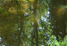 P7030438